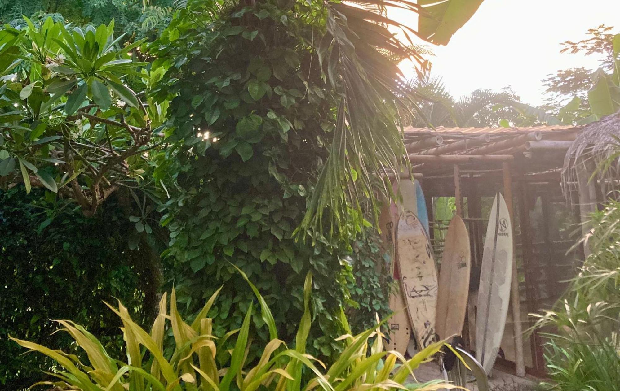 La Buena Vida