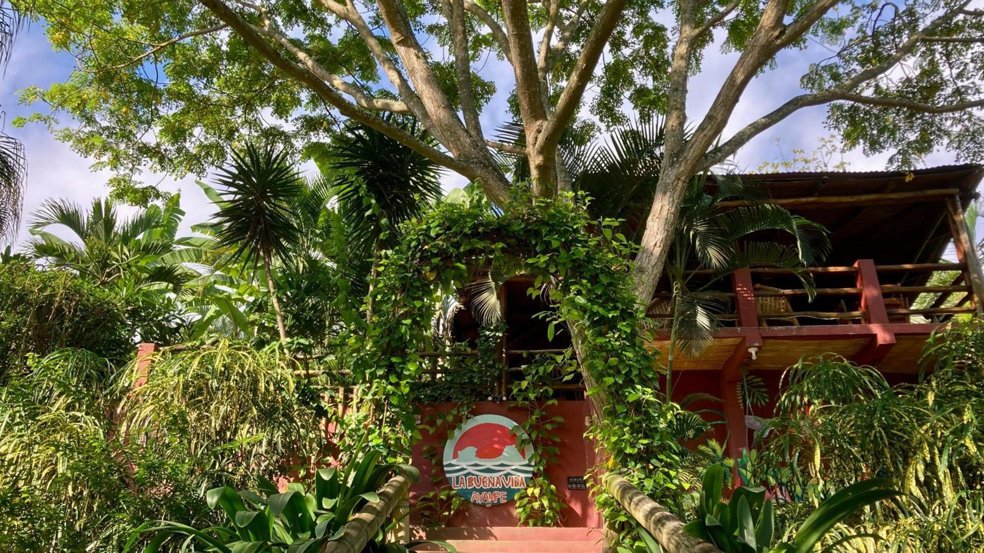 La Buena Vida 4* Ayampe