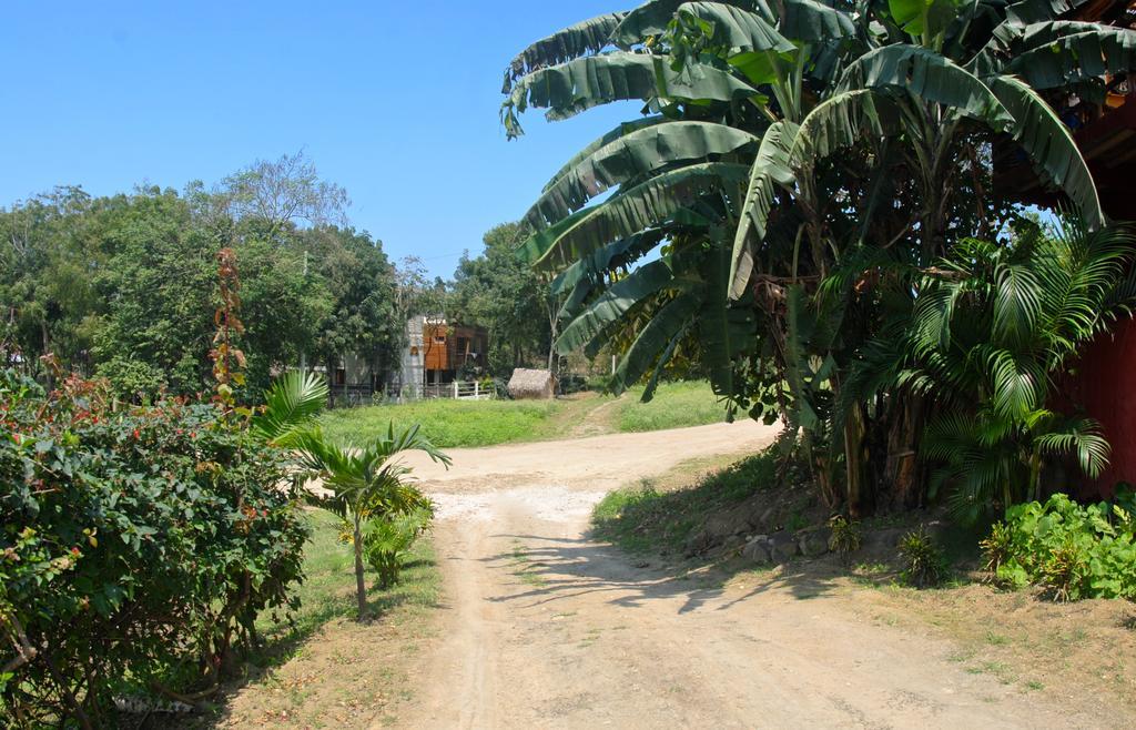 La Buena Vida Ayampe